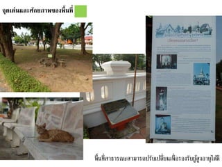 จุดเด่นและศักยภาพของพื้นที่
พื้นที่สาธารณะสามารถปรับเปลี่ยนเพื่อรองรับผู้สูงอายุได้ดี
 