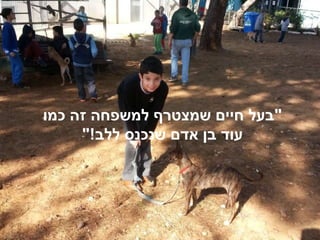 "‫כמו‬ ‫זה‬ ‫למשפחה‬ ‫שמצטרף‬ ‫חיים‬ ‫בעל‬
‫ללב‬ ‫שנכנס‬ ‫אדם‬ ‫בן‬ ‫עוד‬"!
 