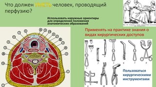 Что должен человек, проводящий
перфузию?
Использовать наружные ориентиры
для определения положения
анатомических образований
Пользоваться
хирургическими
инструментами
Применять на практике знания о
видах хирургических доступов
 