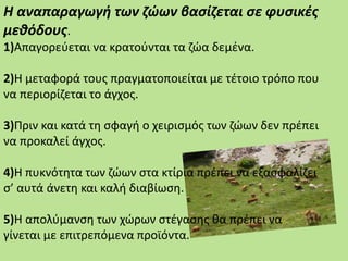 Η αναπαραγωγή των ζώων βασίζεται σε φυσικές
μεθόδους.
1)Απαγορεύεται να κρατούνται τα ζώα δεμένα.
2)Η μεταφορά τους πραγματοποιείται με τέτοιο τρόπο που
να περιορίζεται το άγχος.
3)Πριν και κατά τη σφαγή ο χειρισμός των ζώων δεν πρέπει
να προκαλεί άγχος.
4)Η πυκνότητα των ζώων στα κτίρια πρέπει να εξασφαλίζει
σ’ αυτά άνετη και καλή διαβίωση.
5)Η απολύμανση των χώρων στέγασης θα πρέπει να
γίνεται με επιτρεπόμενα προϊόντα.
 