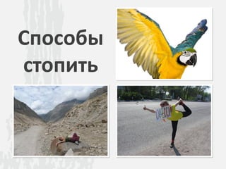 Способы
стопить
 