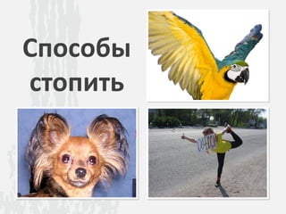 Способы
стопить
 