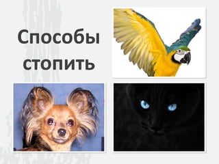 Способы
стопить
 