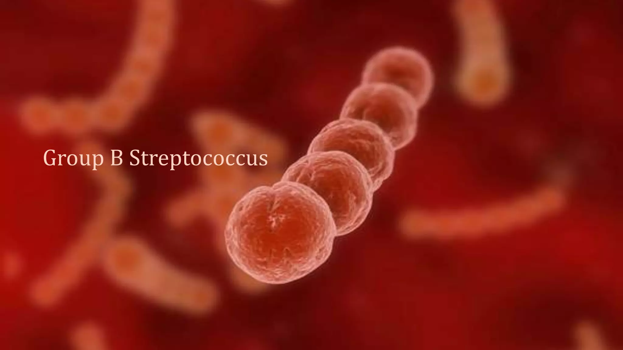 Group B Streptococcus
 