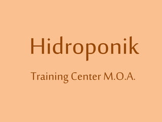 Hidroponik
Training Center M.O.A.
 