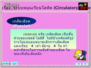 เพลตเลต หรือ เกล็ดเลือด เป็นชิ้น
ส่วนของเซลล์ ไม่มีสี ไม่มีนิวเคลียสมีรูป
ร่างไม่แน่นอนขนาดเล็กกว่าเม็ดเลือด
แดงเกือบ 4 เท่า มีอายุ 4 วัน ทำา
หน้าที่ช่วยในการแข็งตัวของเลือด ใน
ขณะที่เส้นเลือดฉีก
เกล็ดเลือด
(Platelet)
เรื่อง ระบบหมุนเวียนโลหิต (Circulatory System
บทเรียน ออก
 