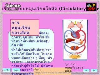 ภายในหลอดเลือดจะ
ถูกควบคุมโดย หัวใจ ซึ่ง
ทำาหน้าที่เหมือนเครื่องสูบ
ฉีด เพื่อ
ทำาให้เกิดแรงดันที่สามารถ
จะดันให้เลือดไหล ไปตาม
หลอดเลือดต่าง ๆ ที่อยู่ ทั่ว
ร่างกาย และสามารถไหล
กลับเข้าสู่หัวใจได้ ผู้ค้นพบ
เป็น คนแรกได้แก่ นัก
การ
หมุนเวียน
ของเลือด
ที่มา :
http://www.thailabonline.com/section
รูป การ
หมุนเวียนของ
เลือด
เรื่อง ระบบหมุนเวียนโลหิต (Circulatory System
บทเรียน ออก
 