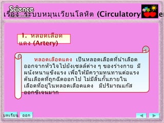 หลอดเลือดแดง เป็นหลอดเลือดที่นำาเลือด
ออกจากหัวใจไปยังเซลล์ต่าง ๆ ของร่างกาย มี
ผนังหนาแข็งแรง เพื่อให้มีความทนทานต่อแรง
ดันเลือดที่ถูกฉีดออกไป ไม่มีลิ้นกั้นภายใน
เลือดที่อยู่ในหลอดเลือดแดง มีปริมาณแก๊ส
ออกซิเจนมาก   
เรื่อง ระบบหมุนเวียนโลหิต (Circulatory System
1. หลอดเลือด
แดง (Artery)
บทเรียน ออก
 