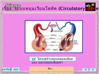 ที่มา :
www.siamcomic.com/scboard/view.php
รูป โครงสร้างของหลอดเลือด
แดง และหลอดเลือดดำา
เรื่อง ระบบหมุนเวียนโลหิต (Circulatory System
บทเรียน ออก
 
