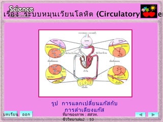 เรื่อง ระบบหมุนเวียนโลหิต (Circulatory System
รูป การแลกเปลี่ยนแก๊สกับ
การลำาเลียงแก๊ส
ที่มาของภาพ : สสวท.
ชีววิทยาเล่ม2 : 50
บทเรียน ออก
 