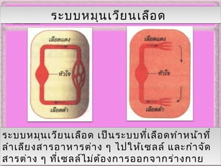 ระบบหมุนเวียนเลือดระบบหมุนเวียนเลือด
ระบบหมุนเวียนเลือด เป็นระบบที่เลือดทำาหน้าที่
ลำาเลียงสารอาหารต่าง ๆ ไปให้เซลล์ และกำาจัด
สารต่าง ๆ ที่เซลล์ไม่ต้องการออกจากร่างกาย
ระบบหมุนเวียนเลือด เป็นระบบที่เลือดทำาหน้าที่
ลำาเลียงสารอาหารต่าง ๆ ไปให้เซลล์ และกำาจัด
สารต่าง ๆ ที่เซลล์ไม่ต้องการออกจากร่างกาย
 
