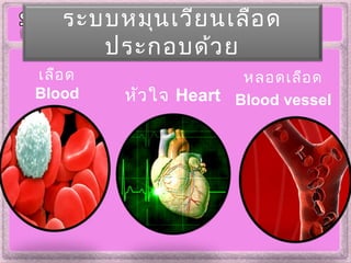 ระบบหมุนเวียนเลือด
ประกอบด้วย
หัวใจ Heart
หลอดเลือด
Blood vessel
เลือด
Blood
 