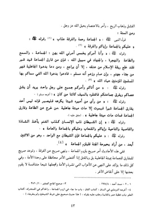 التعددية السياسية في الدولة الإسلامية