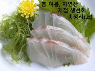 봄 여름, 자연산
제철 생선회
총정리(上)
 