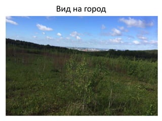 Вид на город
 