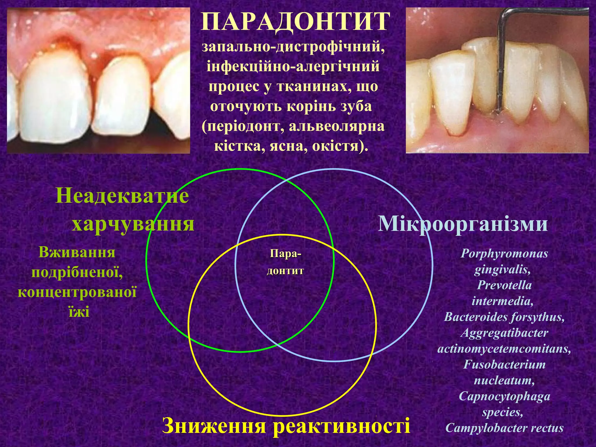 Над вертепом звезда ясна