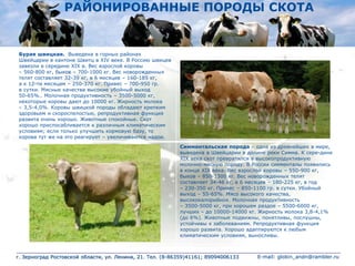 РАЙОНИРОВАННЫЕ ПОРОДЫ СКОТА
Бурая швицкая. Выведена в горных районах
Швейцарии в кантоне Швитц в XIV веке. В Россию швицев
завезли в середине XIX в. Вес взрослой коровы
– 560-800 кг, быков – 700-1000 кг. Вес новорожденных
телят составляет 32-39 кг, в 6 месяцев – 160-185 кг,
а к 12-ти месяцам – 250-370 кг. Привес – 700-950 гр.
в сутки. Мясные качества высокие убойный выход
50-65%.. Молочная продуктивность – 3500-5000 кг,
некоторые коровы дают до 10000 кг. Жирность молока
– 3,5-4,0%. Коровы швицкой породы обладают крепким
здоровьем и скороспелостью, репродуктивная функция
развита очень хорошо. Животные спокойные. Скот
хорошо приспосабливается к различным климатическим
условиям; если только улучшить кормовую базу, то
корова тут же на это реагирует – увеличиваются надои.
Симментальская порода – одна из древнейших в мире,
выведена в Швейцарии в долине реки Симма. К сере-дине
XIX века скот превратился в высокопродуктивную
молочно-мясную породу. В России симменталы появились
в конце XIX века. Вес взрослой коровы – 550-900 кг,
быков – 850-1300 кг. Вес новорожденных телят
составляет 34-46 кг, в 6 месяцев – 180-225 кг, в год
– 230-350 кг. Привес – 850-1100 гр. в сутки. Убойный
выход – 55-65%. Мясо высокого качества,
высококалорийное. Молочная продуктивность
– 3500-5000 кг, при хорошем раздое – 5500-6000 кг,
лучших – до 10000-14000 кг. Жирность молока 3,8-4,1%
(до 6%). Животные подвижны, понятливы, послушны,
устойчивы к заболеваниям. Репродуктивная функция
хорошо развита. Хорошо адаптируются к любым
климатическим условиям, выносливы.
г. Зерноград Ростовской области, ул. Ленина, 21. Тел. (8-86359)41161; 89094006133 E-mail: globin_andn@rambler.ru
 