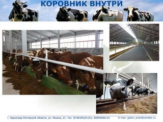 КОРОВНИК ВНУТРИ
г. Зерноград Ростовской области, ул. Ленина, 21. Тел. (8-86359)41161; 89094006133 E-mail: globin_andn@rambler.ru
 