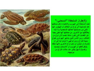 (1)‫فاة‬ ‫السل‬ ‫طراز‬"‫ابي‬ ‫انس‬":
‫لى‬ ‫فاة‬ ‫السل‬ ‫تعمد‬‫صدفتها‬ ‫داخل‬ ‫واالختباء‬ ‫الهروب‬
‫الهجوم‬ ‫أو‬ ‫الخالف‬ ‫من‬ ‫نوع‬ ‫ألي‬ ‫تعرضها‬ ‫عند‬.‫نها‬
‫تلغي‬‫تأب‬ ‫وال‬ ‫الشخصية‬ ‫أهدافها‬ ‫ساباتها‬ ‫من‬
‫اآلخرين‬ ‫مع‬ ‫بعالقاتها‬.‫تبقى‬ ‫أنها‬ ‫صفاتها‬ ‫من‬‫بعيدا‬
‫م‬ ‫نوع‬ ‫ألي‬ ‫خصبا‬ ‫مناخا‬ ‫تكون‬ ‫التي‬ ‫القضايا‬ ‫عن‬‫ن‬
‫يشتهر‬ ‫الذين‬ ‫الناس‬ ‫ومن‬ ‫الخالف‬‫طباع‬ ‫ذوي‬ ‫أنهم‬
‫للنزاع‬ ‫بة‬ ‫م‬.‫أن‬ ‫في‬ ‫أبدا‬ ‫تؤمل‬ ‫ال‬ ‫فهي‬ ‫ثم‬ ‫ومن‬
‫ل‬ ‫ت‬ ‫أن‬ ‫اول‬ ‫ت‬ ‫أو‬ ‫تشترت‬‫تعتقد‬ ‫ألنها‬ ‫اآلخرين‬ ‫نزاع‬
‫اب‬ ‫االنس‬ ‫أو‬ ‫الهروب‬ ‫أن‬ ‫قاطع‬ ‫بشكل‬(‫جسديا‬
‫ونفسيا‬)‫أسهل‬‫من‬ ‫النزاع‬ ‫االت‬ ‫عند‬ ‫بكثير‬
‫مواجهت‬.
 