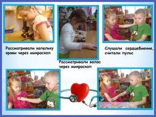 Рассматривали капельку
крови через микроскоп
Слушали сердцебиение,
считали пульс
Рассматривали волос
через микроскоп
 