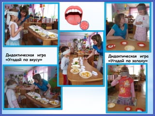 Дидактическая игра
«Угадай по вкусу»
Дидактическая игра
«Угадай по запаху»
 