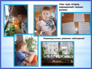 Наш чудо огород,
выращенный своими
руками
Индивидуальные дневники наблюдений
 