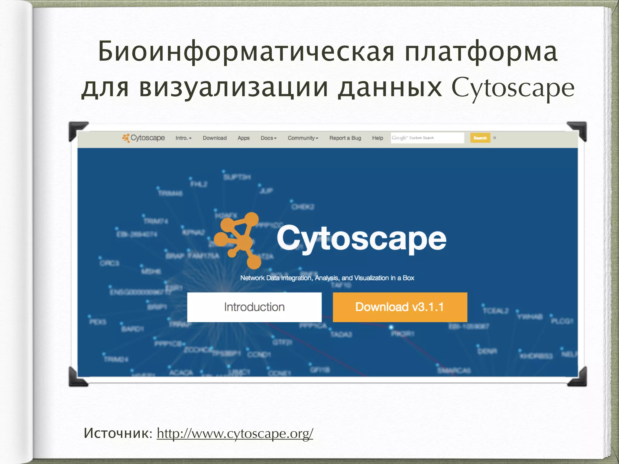 Биоинформатическая платформа
для визуализации данных Cytoscape
Источник: http://www.cytoscape.org/
 