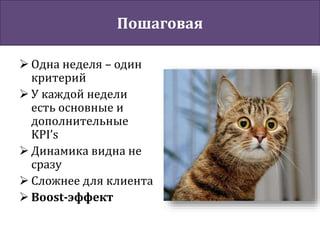 Пошаговая
 Одна неделя – один
критерий
 У каждой недели
есть основные и
дополнительные
KPI’s
 Динамика видна не
сразу
 Сложнее для клиента
 Boost-эффект
 