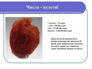 Числа - велетні
1 хвилина – 70 ударів
1 доба – 100 000 ударів
1 рік – 36 500 000 ударів
60 років – 2 200 000 000 ударів
Кран на кухні повинен бути
повністю відкритий протягом 45
років, щоб еквівалентно показати
кількість крові, яку перекачує
серце звичайної людини за життя.
 