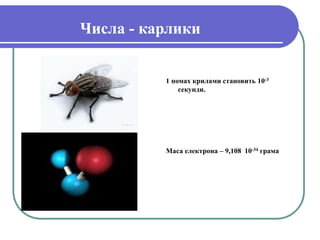 Числа - карлики
1 помах крилами становить 10-3
секунди.
Маса електрона – 9,108 10-34 грама
 