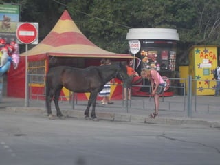 Сансити