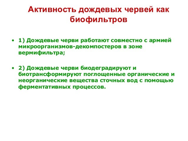 Титов Дождевые Черви