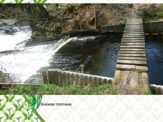 Княжая плотина
 