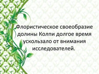 Флористическое своеобразие
долины Колпи долгое время
ускользало от внимания
исследователей.
 