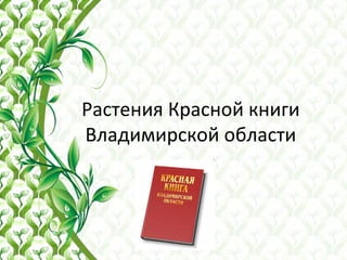 Растения Красной книги
Владимирской области
 
