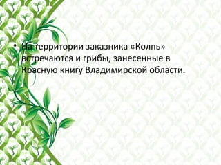 • На территории заказника «Колпь»
встречаются и грибы, занесенные в
Красную книгу Владимирской области.
 