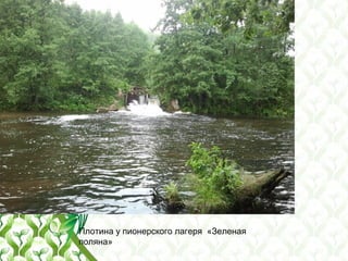 Плотина у пионерского лагеря «Зеленая
поляна»
 