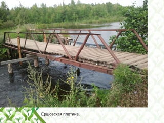 Ершовская плотина.
 