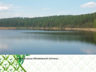 Запруда выше Матвеевской плотины.
 