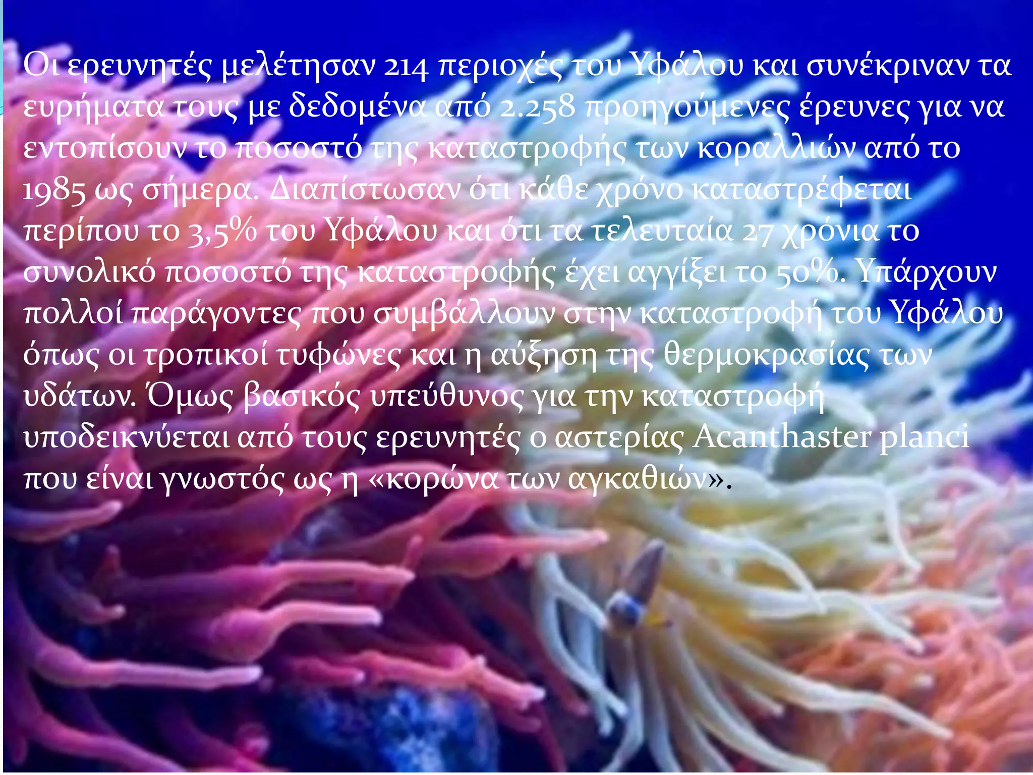 Οι ερευνητές μελέτησαν 214 περιοχές του Υφάλου και συνέκριναν τα
ευρήματα τους με δεδομένα από 2.258 προηγούμενες έρευνες για να
εντοπίσουν το ποσοστό της καταστροφής των κοραλλιών από το
1985 ως σήμερα. Διαπίστωσαν ότι κάθε χρόνο καταστρέφεται
περίπου το 3,5% του Υφάλου και ότι τα τελευταία 27 χρόνια το
συνολικό ποσοστό της καταστροφής έχει αγγίξει το 50%. Υπάρχουν
πολλοί παράγοντες που συμβάλλουν στην καταστροφή του Υφάλου
όπως οι τροπικοί τυφώνες και η αύξηση της θερμοκρασίας των
υδάτων. Όμως βασικός υπεύθυνος για την καταστροφή
υποδεικνύεται από τους ερευνητές ο αστερίας Acanthaster planci
που είναι γνωστός ως η «κορώνα των αγκαθιών».
 