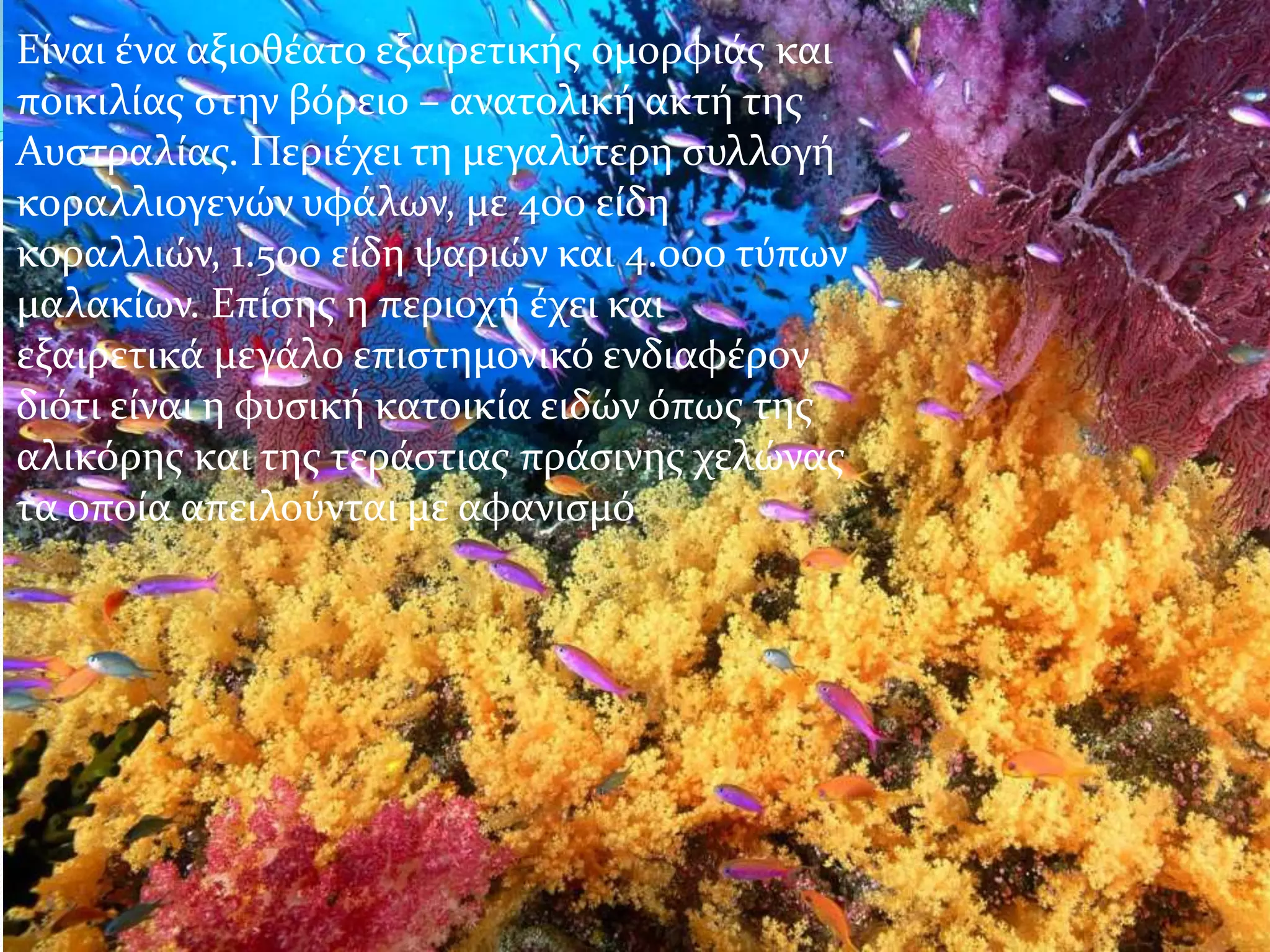 Είναι ένα αξιοθέατο εξαιρετικής ομορφιάς και
ποικιλίας στην βόρειο – ανατολική ακτή της
Αυστραλίας. Περιέχει τη μεγαλύτερη συλλογή
κοραλλιογενών υφάλων, με 400 είδη
κοραλλιών, 1.500 είδη ψαριών και 4.000 τύπων
μαλακίων. Επίσης η περιοχή έχει και
εξαιρετικά μεγάλο επιστημονικό ενδιαφέρον
διότι είναι η φυσική κατοικία ειδών όπως της
αλικόρης και της τεράστιας πράσινης χελώνας
τα οποία απειλούνται με αφανισμό
 