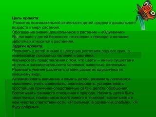 
Цель проекта:
Развития познавательной активности детей среднего дошкольного
возраста к миру растений.
Обогащение знаний ...