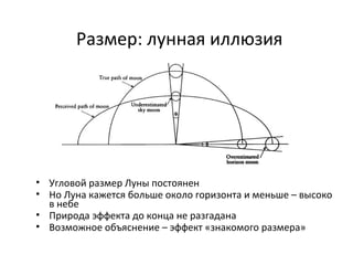 Размер: лунная иллюзия
• Угловой размер Луны постоянен
• Но Луна кажется больше около горизонта и меньше – высоко
в небе
• Природа эффекта до конца не разгадана
• Возможное объяснение – эффект «знакомого размера»
 