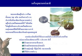 ส่วนศึกษาและวิจัยอุทยานแห่งชาติ : ส้านักอุทยานแห่งชาติ
พบนกอาศัยอยู่ในประเทศไทย
ทั้งหมด 946 ชนิด สองในสามเป็นนก
ประจ้าถิ่นซึ่งอาศัยหากินและขยายพันธุ์
อยู่ในประเทศไทยตลอดทั้งปี ไม่บินย้าย
ไปอยู่ถิ่นอื่นเพราะประเทศไทยมีอากาศ
อบอุ่นตลอดปีเต็มไปด้วยสภาพธรรมชาติ
หลากหลายให้นกอาศัยหากินอย่างอุดมสมบูรณ์
นกแต่ละชนิดปรับตัวให้เหมาะสมกับถิ่นอาศัยซึ่งในประเทศไทย
แบ่งสภาพถิ่นอาศัยของนกได้ 4 ประเภท ดังนี้
บริเวณชายหาดและท้องทะเล
บริเวณป่าชายเลนและปากแม่น้้า
บริเวณทุ่งหญ้า ที่ลุ่มน้้าขัง และหนองบึง
ป่าไม้ประเภทต่าง ๆ
นกในอุทยานแห่งชาติ
 