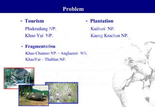 Problem
- Fragmentation
Khao Chamao NP. - Angluenai WS.
KhaoYai – Thablan NP.
- Tourism
Phukradung NP.
Khao Yai NP.
- Plantation
Kuiburi NP.
Kaeng Krachan NP.
 
