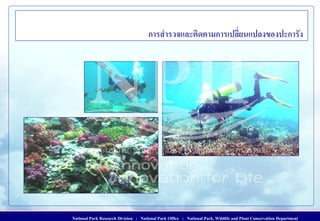 National Park Research Division : National Park Office : National Park, Wildlife and Plant Conservation Department
การสารวจและติดตามการเปลี่ยนแปลงของปะการัง
 
