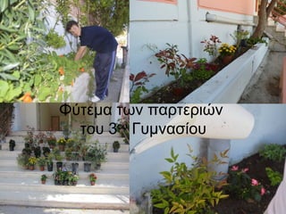 Φύτεμα των παρτεριών
του 3ου
Γυμνασίου
 