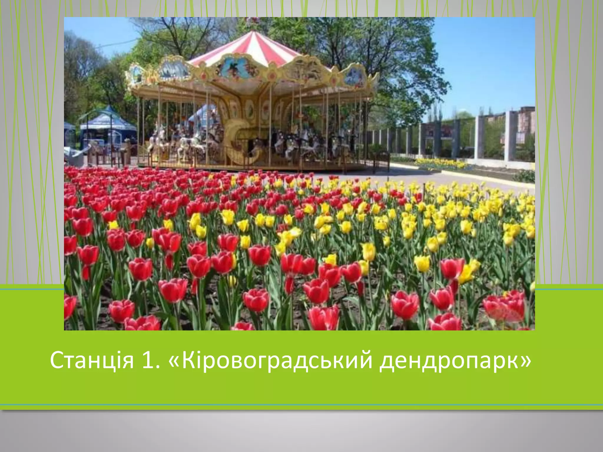 Станція 1. «Кіровоградський дендропарк»
 