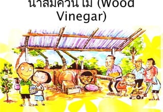 นำ้ำส้มควันไม้ (Wood
Vinegar)
 