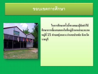 ขอบเขตการศึกษา
ในกำรศึกษำครั้งนี้ทำงคณะผู้จัดทำได้
ศึกษำกำรเลี้ยงกบคอนโดที่หมู่บ้ำนเหล่ำมะละกอ
หมู่ที่ 15 ตำบลทุ่งหลวง อำเภอปำกท่อ จังหวัด
รำชบุรี
 